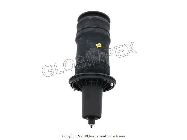 LR RANGE ROVER (1995-2002) Pneumatic Spring Front Left or Right 1) EUROSPARE Foto 1 de 1