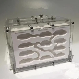 Fourmi Gigognes Acrylique Mini Plâtre Animal Insecte Cages Anthill House DIY Toy - Photo 1/27