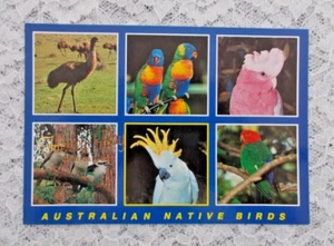 Aves nativas australianas, postal sin usar, emú, cacatúa, loro, loro...... - Imagen 1 de 2