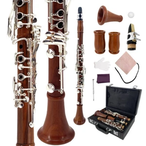 Corpo in palissandro clarinetto Bb nichelato 17 chiavi per principianti custodia rigida - Foto 1 di 8