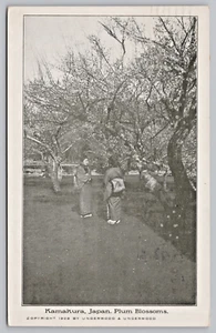 Postal Kamakura City Honshu Japón ciruelo árboles 1909 - Imagen 1 de 2