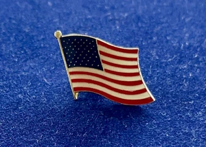 AMERICAN FLAG LAPEL PIN /HAT /TIE TACK /BADGE /VEST /PINBACK - Picture 1 of 2