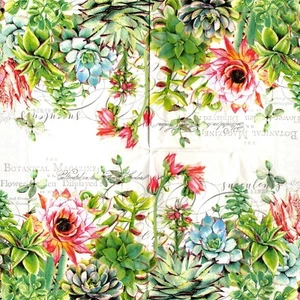 Serviettes en papier fleurs plantes succulentes.Paper napkins flowers succulent - Picture 1 of 1