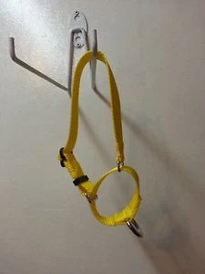 Carter Pet SupplyTraining Martingale Style Dog Collar Grey Hounds No Buckle Hand - Picture 1 of 2