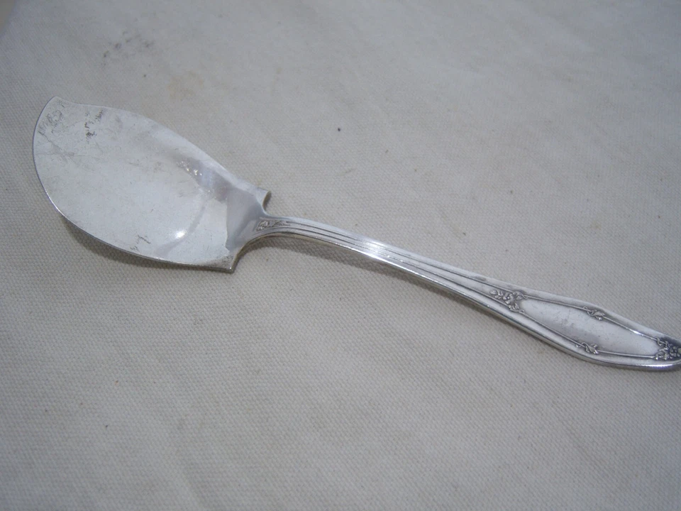 CUCHARA PLANA HOLMES & EDWARDS PLATA SABOR Servidor Patrón Floral Hojas Enredaderas Foto 1 de 4