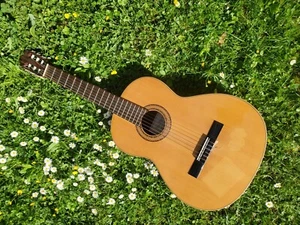 Schöne Spanische Gitarre "Paco Marin 4-A", beschädigt! - Bild 1 von 17