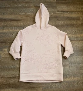 H&M Nicki Minaj Pink Clouds Embroidered Oversized Hoodie Women’s Large - Picture 1 of 9