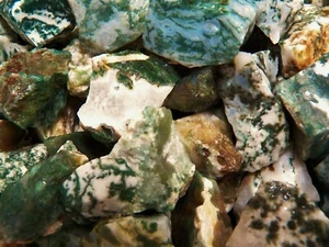 1000 Carat Lots of Green Tree Agate Rough - Plus a FREE Faceted Gemstone - Picture 1 of 7