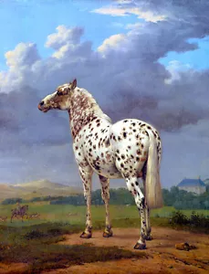 Vintage Leopard Appaloosa Horse painting *FRAMED* CANVAS ART 18x12" - Bild 1 von 1