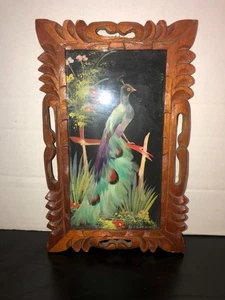 Cuadro de pavo real mexicano enmarcado vintage con historia/historia 11" x 7" - Imagen 1 de 6