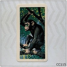 Brooke Bond Tea Card African Animals #9 Chimpanzee (CC115)