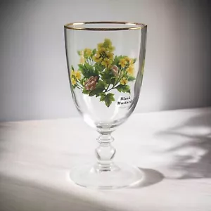 Copa de agua Royal Worcester con adornos dorados 'Hierbas Worcester - Mostaza negra' - 7" - Imagen 1 de 5