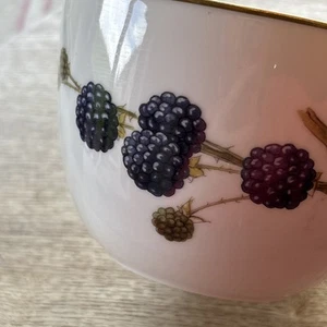 2 x Royal Worcester Sugar Bowls Wild Harvest Oven to table Dishwasher proof - Picture 1 of 14