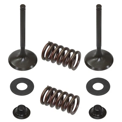 Kit de válvula de escape psíquica para Kawasaki KX450F se adapta a modelos 2009-2015 Foto 1 de 2