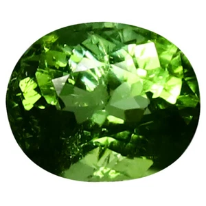 1.49 ct Fabulous Oval Cut (7 x 6 mm) Mozambique Green Tourmaline Gemstone - Picture 1 of 1