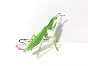 Japan Exclusive Green Praying Mantis Insect PVC Strap Figure A - Picture 1 of 4