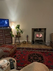 Vermont Intrepid 2 Log Burner - Picture 1 of 5