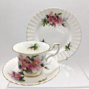 Vintage Royal Albert Bone China Prairie Rose Trio - Teacup, Saucer, Side Plate - Picture 1 of 19