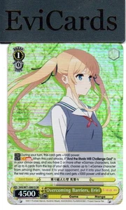 Overcoming Barriers, Eriri - SHS/W71-E001S - SR - Picture 1 of 1