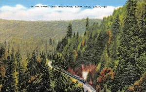 SANTA CRUZ MOUNTAINS Look-Out Point San Lorenzo Drive Big Trees Train Postcard - Picture 1 of 2