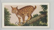 1954 Neilson's Chocolate Interesting Animals Lynx #35 0j8f