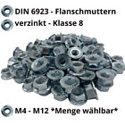 Sperrzahnmutter Flanschmutter M4 bis M16 Bundmutter DIN 6923 - Stahl Verzinkt