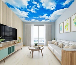 3D Sky Clouds G4223 Ceiling WallPaper Murals Wall Print Decal Deco Erin 2023 - Picture 1 of 5
