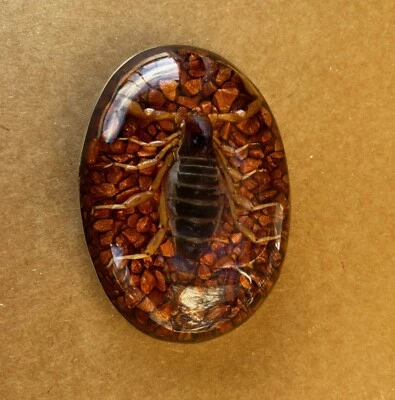 Scorpion Real Belt Buckle Men Westen Cowboy Hecho Made en Mexico Vintage Insect - Image 1 of 4