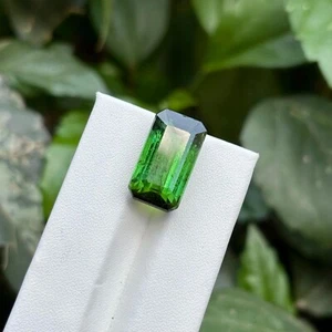Natural Green Tourmaline Octagon Cut 6.65 Ct. Loose Gemstone For Elevate Jewelry - Picture 1 of 4