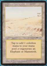 Elephant Graveyard Arabian Nights HEAVILY PLD Land Rare CARD (248098) ABUGames