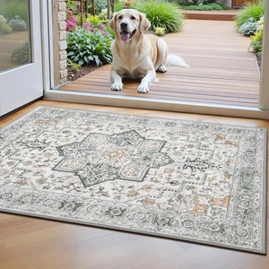 Tappeti Lavabili 2x3 Piccola Area per Ingresso Bagno, Tappeto Cucina Morbido Antiscivolo... - Foto 1 di 9