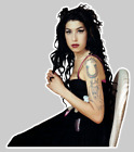Amy Winehouse vinyl decal die cut sticker - WATERPROOF