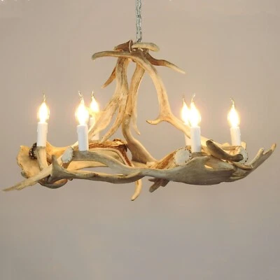 Real Round, White Fallow Deer Antler Chandelier for 6 Lights - Image 1 of 4
