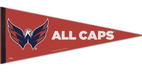 WASHINGTON CAPITALS LIMITED EDITION PREMIUM PENNANT 12"X30" NHL LICENSED Cover