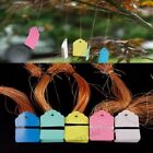 100pcs PVC Plant Tags Labels Flower Tree Markers Sign Waterproof 21H