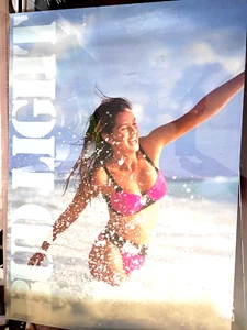 BUD LIGHT Swim SUIT 1990 20" x 28" POSTER BEER ADVERTISING - Picture 1 of 6
