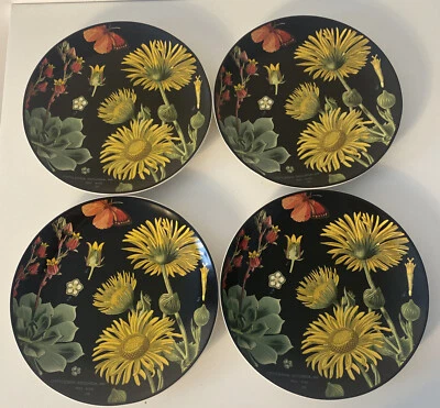 POTTERY BARN Set of 4 Flora Botanica Black Floral Salad Plate Flowers Yellow - Image 1 of 4