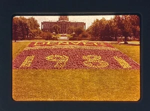 Downtown Denver 1981 Capitol Building cama de flores años 80 vintage 35 mm foto diapositiva - Imagen 1 de 3