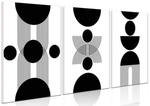 Framed Boho Wall Art Set of 3 - Black and White Modern Geometric Line Wall De... - Picture 1 of 8