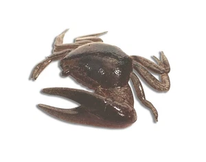 Señuelo de cangrejo artificial violinista cebo de señuelos naturales casi vivos 2" - Imagen 1 de 2