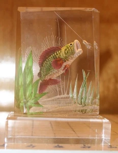 Diorama Wald vintage Lucite Fish Intaglio firmado por artista - Imagen 1 de 7