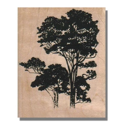 Sello de goma montado, árboles, maderas, naturaleza, árbol, bosque, plantas, hojas, rama, medios Foto 1 de 4