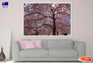 (Laminated) Blossom Tree Forest Photograph 91x61cm - Picture 1 of 6