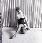 1960s Ron Vogel Negative-sexy pinup girl Robin Kelly-cheesecake v306879