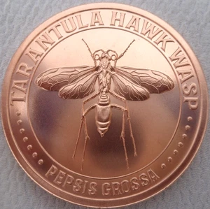 1 oz. TARANTULA HAWK WASP #9 Copper Bug Series .999 fine copper round - Bild 1 von 4