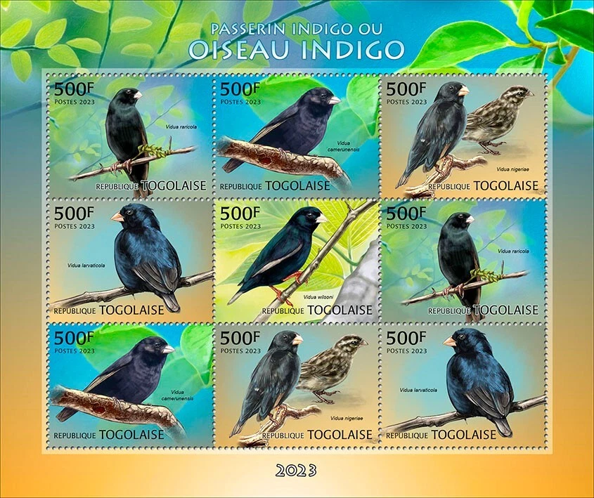 2024 03 - TOGO - INDIGO BIRDS                   9V  complet set    MNH ** - Image 1 of 1