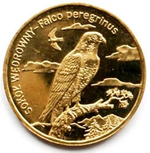 Polonia 2 zl 2008 Animales del Mundo - Halcón Peregrino UNC (#413) - Imagen 1 de 2