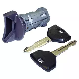 Cilindro e interruptor de bloqueo de encendido para 1991-1995 YJ Wrangler; 1991-1994 XJ Cherok - Imagen 1 de 4