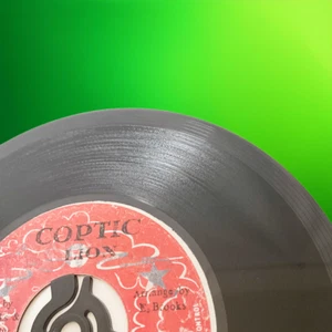 Mike Brooks - Night Pavia 7" Roots Reggae Vinyl Single Coptic Lion RAR - Bild 1 von 7
