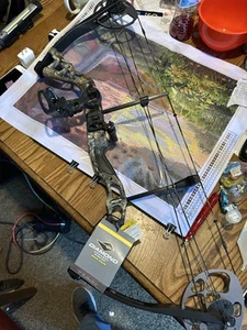 Compound Bow - Picture 1 of 1